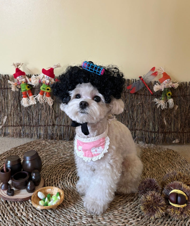 MALTIPOO, ALOHA TEACUP PUPPIES