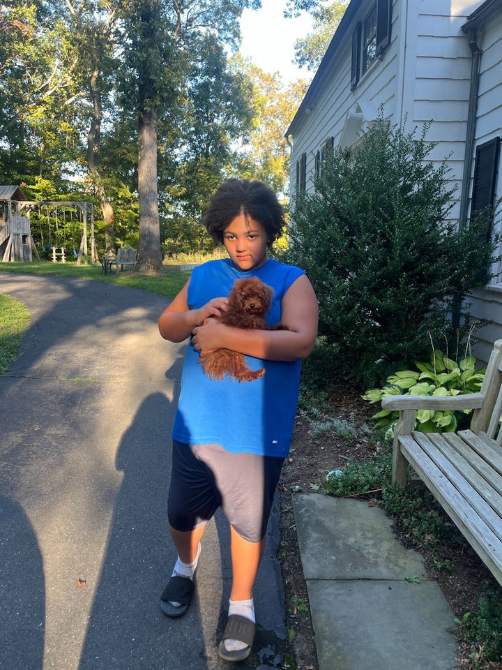 POODLE, ALOHA TEACUP PUPPIES