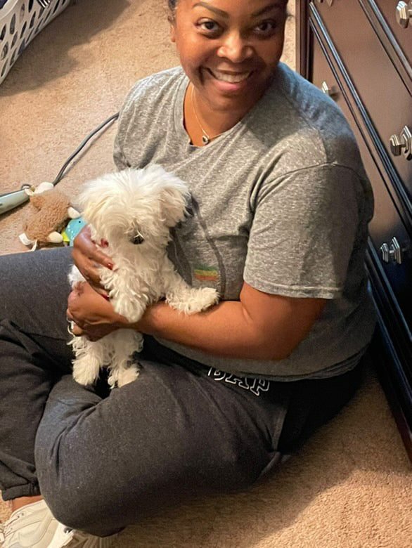 MALTESE, ALOHA TEACUP PUPPIES