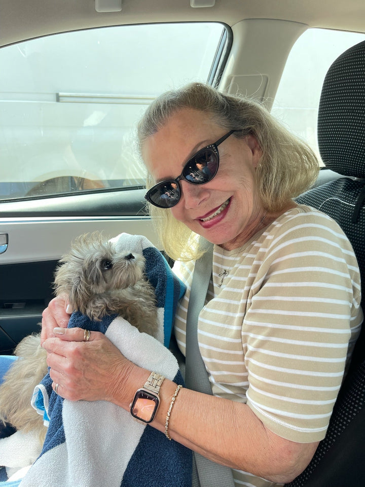 MALTIPOO, ALOHA TEACUP PUPPIES